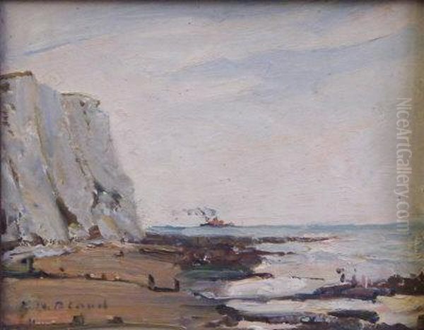 White Cliffs. - view 1