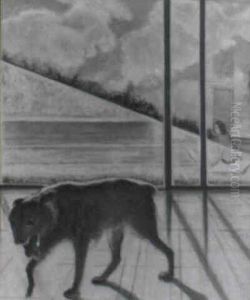 Perro Y Piscina