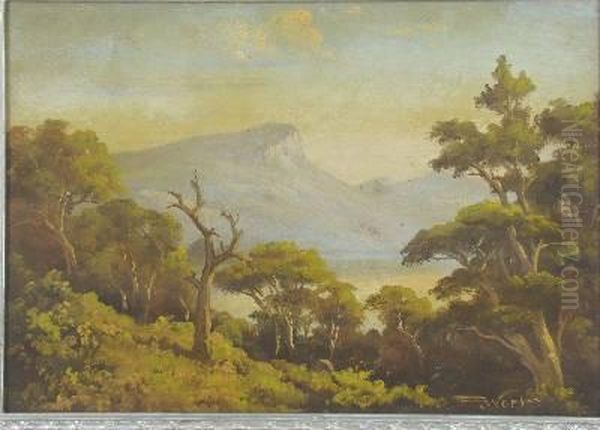 P. Wort Land Scape - view 1