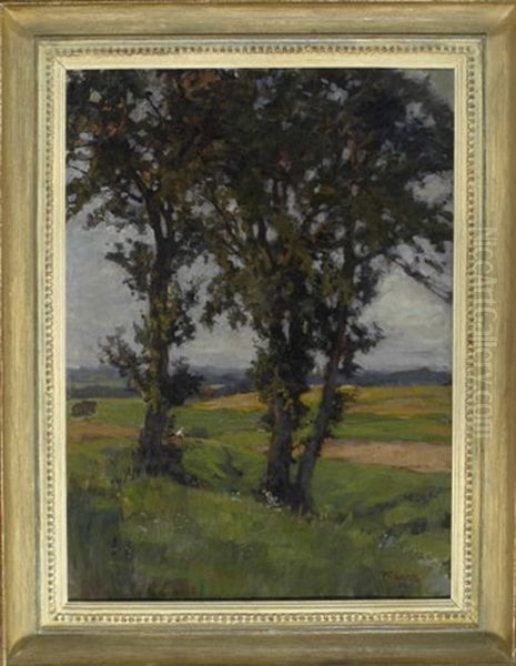 Laubbaume Am Rande Einer Weiten Feldlandschaft - view 1