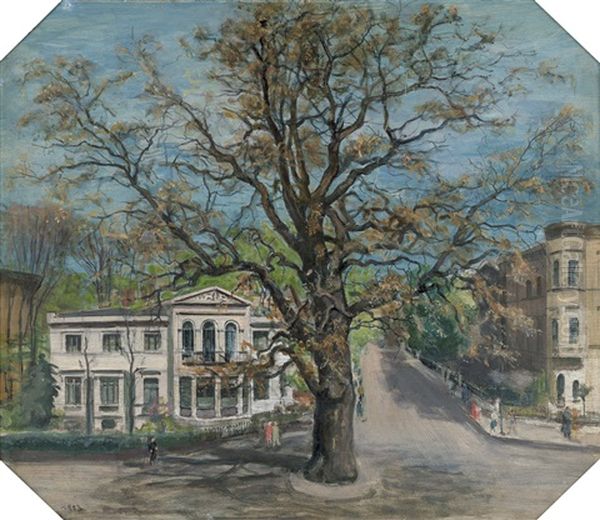 Alte Platane - view 1