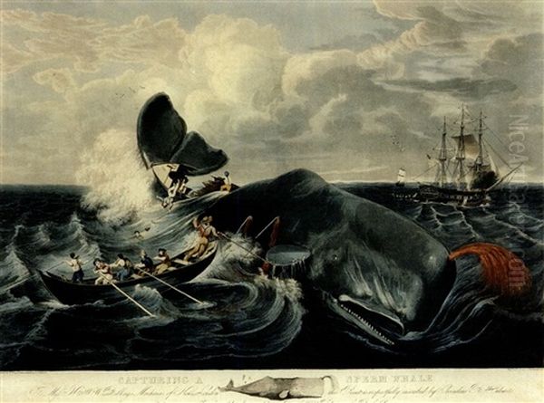 Capturing A Sperm Whale (from A Sketch By C.b. Hulsart) - view 1