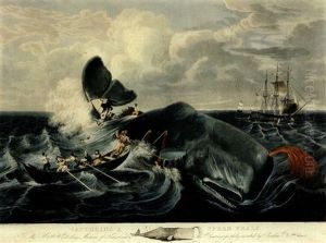 Capturing A Sperm Whale (from A Sketch By C.b. Hulsart)