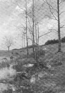 Rotwild