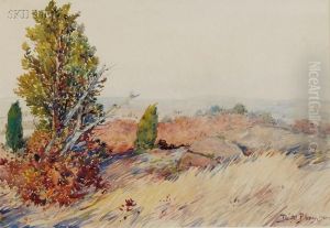 View Towards Gouldsboro From Ironbound Island by Dwight Blaney