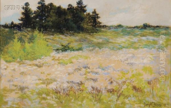 Spring Landscape - view 1