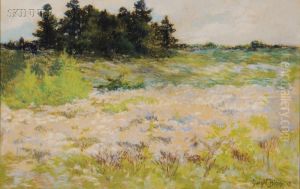 Spring Landscape Spring Landscape