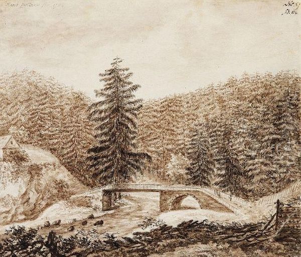 Die Rostrappe Im Harz - view 1