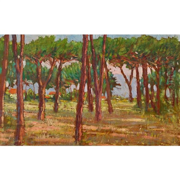 Waldparie - view 1