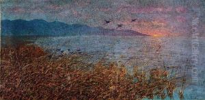 Lago Di Massaciuccoli by Ferruccio Pagni