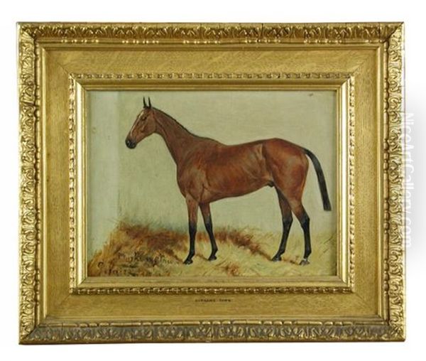 Mintage", A Bay Hunter In A Stable - view 1