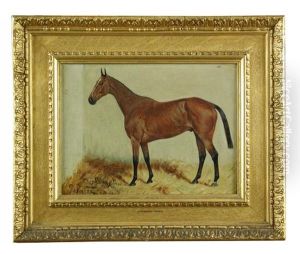 Mintage", A Bay Hunter In A Stable by George Paice