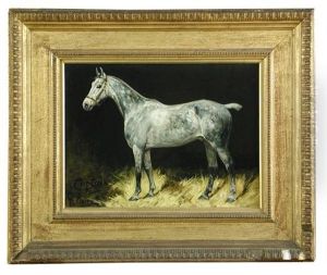 Captain", A Grey Hunte