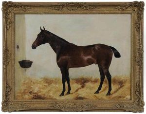 Bay Horse In Loose Box