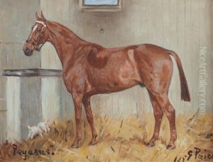Pegasus
