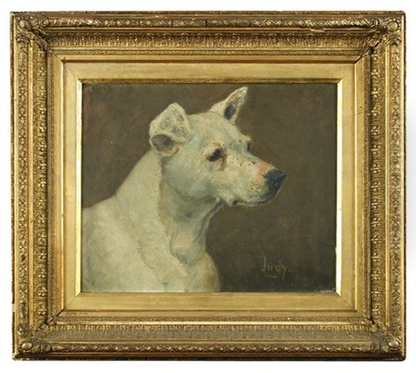 A Study Of 'judy' , A Bull Terrier - view 1