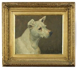 A Study Of 'judy' , A Bull Terrier
