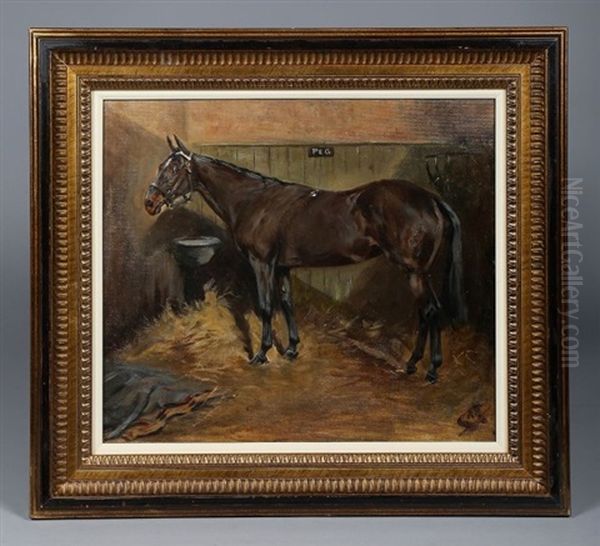 Portrait Du Cheval Peg A L'ecurie - view 1