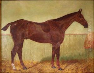 Birthright by George Paice