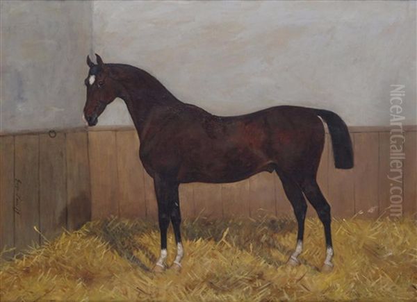 A Hunter In A Stable - view 1