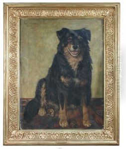 Jock, A Favourite Collie