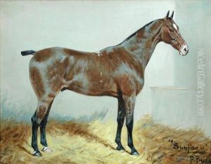 Sunflower, A Racehorse