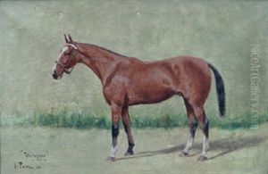 Whiteface by George Paice