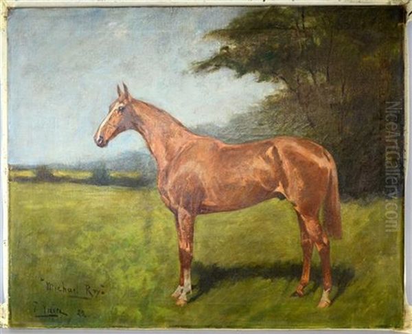 Michael Roy, Study For A Horse - view 1