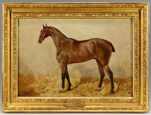 Equine Portrait - view 1