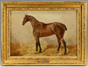Equine Portrait