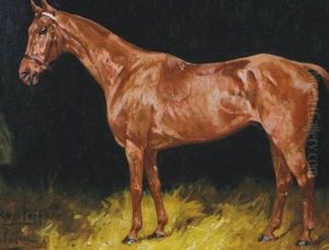 Red Pepper Chestnut Horse