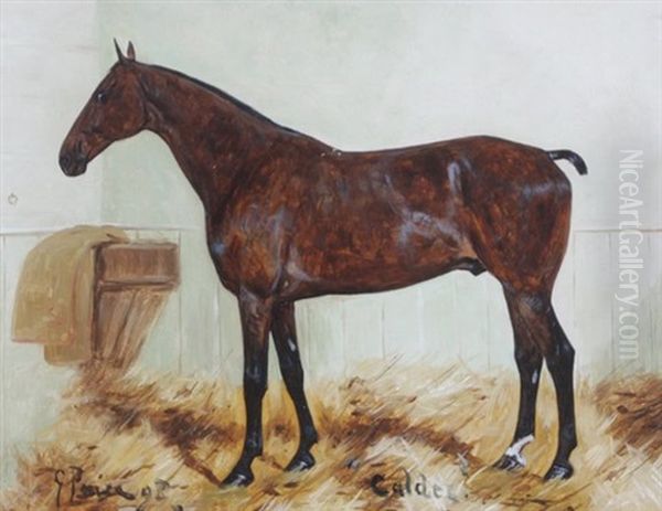 Chestnut Hunter Calder - view 1