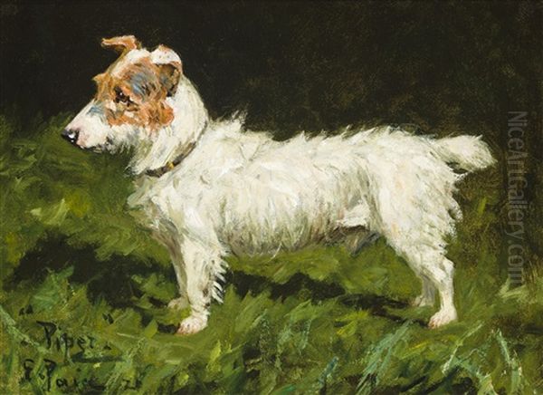 Portrait Of Piper, A Jack Russell Terrier - view 1