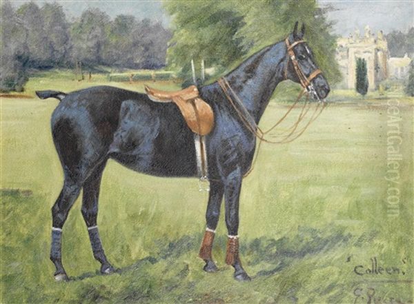 Colleen, Portrait Of A Polo Pony - view 1