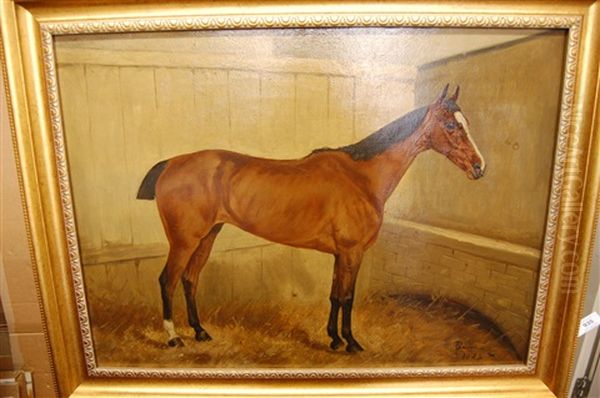 Horse Standing In A Loose Box (study) - view 1