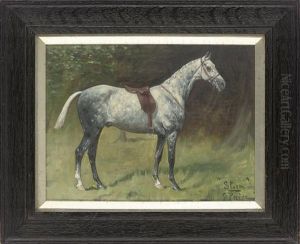 Sheldrake (+ Storm; Pair)