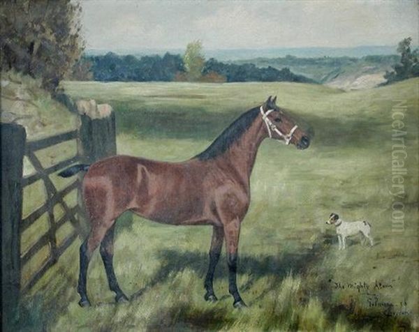 Study Of A Hunter The Mighty Atom And Jack Russell Terrier - view 1