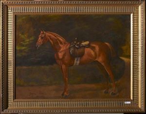 Cavallo Sellato