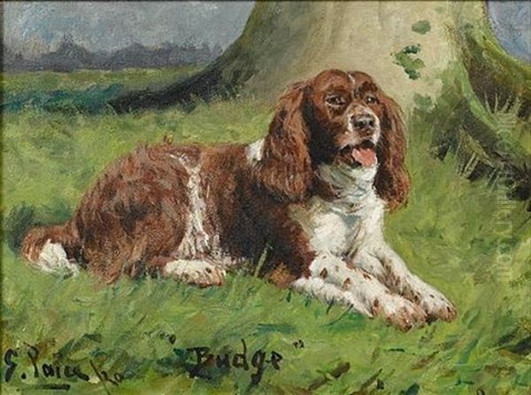 Portrait Of "budge", A Springer Spaniel - view 1