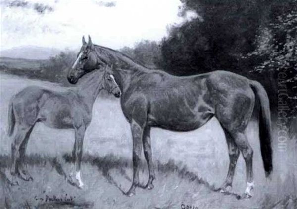 Portrait Of Horse And Foal - view 1