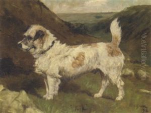 "turk" by George Paice