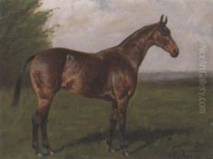 "battle Dawn", A Bay Racehorse by George Paice