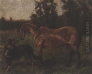 A Collie And A Bay Horse In A Field