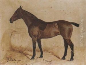 "vixen", A Bay Hunter In A Stable by George Paice