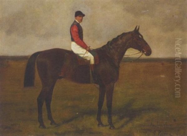 "ambush Ii" With Jockey Up - view 1