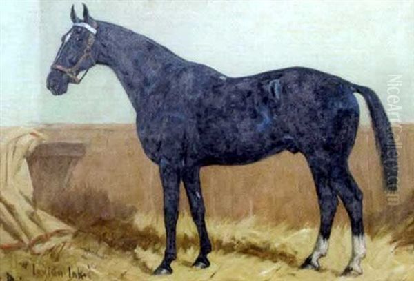 Indian Ink, A Dark Bay Hunter In A Stable - view 1