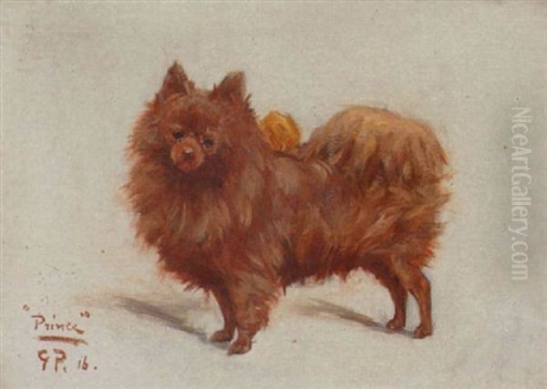 Prince, A Pomeranian - view 1