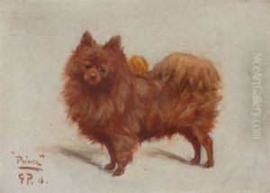 Prince, A Pomeranian by George Paice