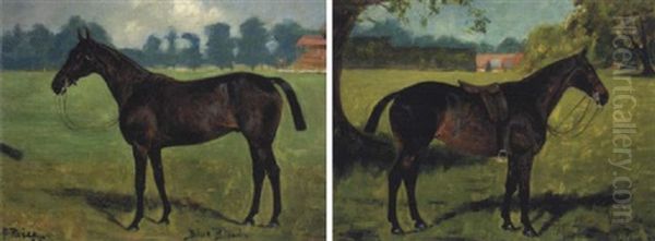 "valedda" - view 1