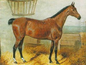 "lady Lofty"